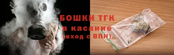 ПСИЛОЦИБИНОВЫЕ ГРИБЫ Алзамай