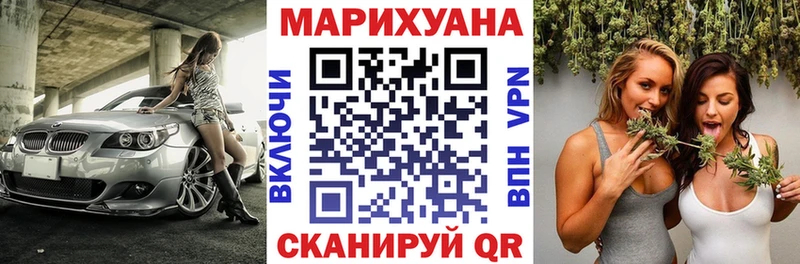 где найти Калининск МАРИХУАНА SATIVA & INDICA